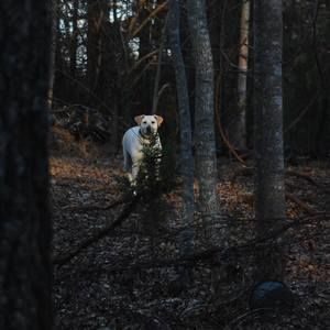 Meet your Posher, Jody